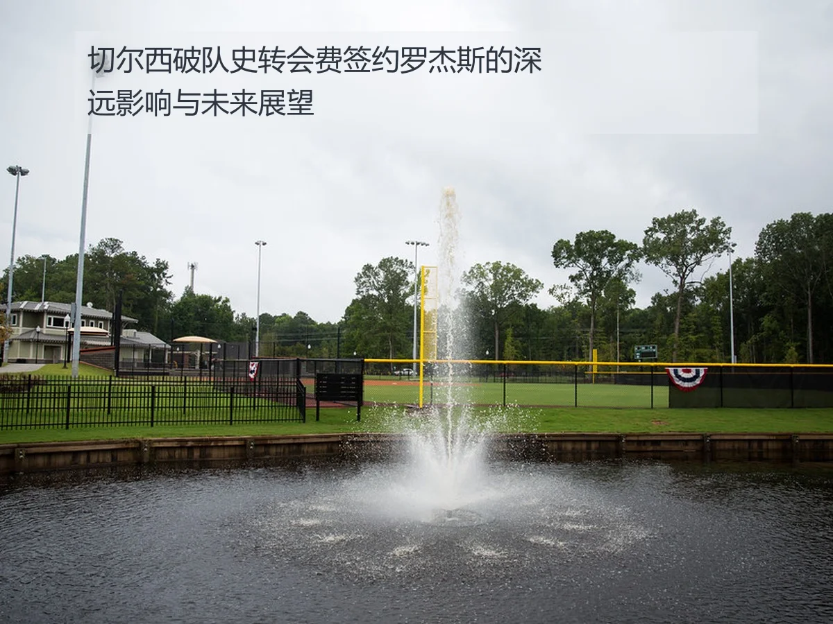 切尔西破队史转会费签约罗杰斯的深远影响与未来展望